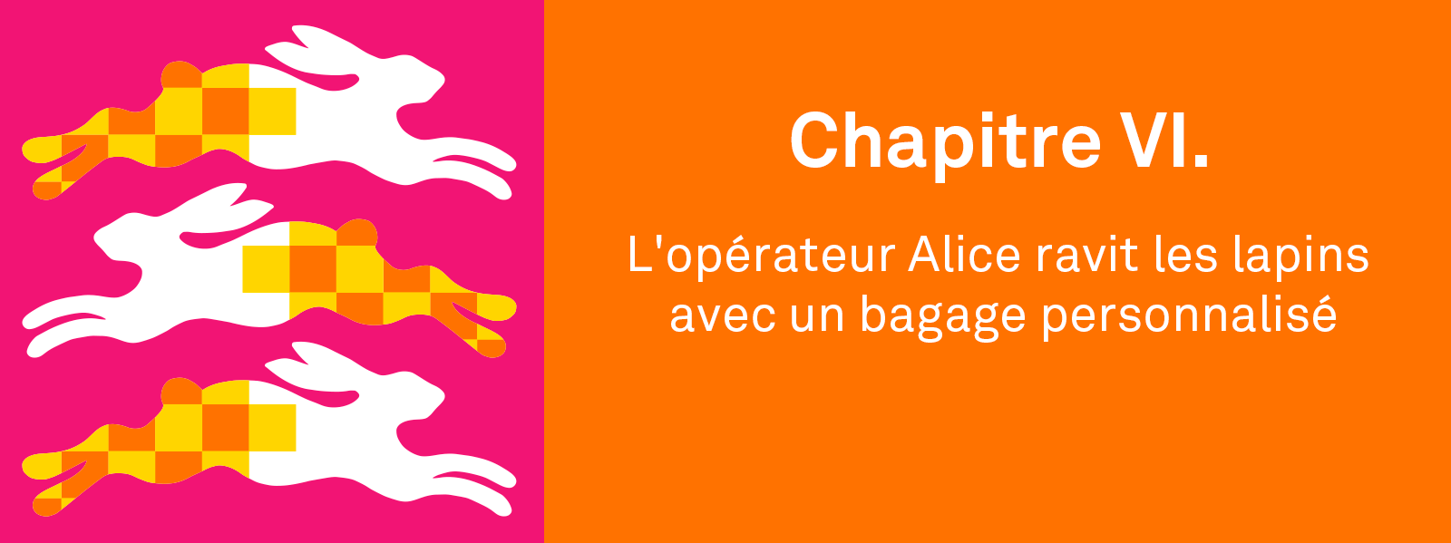 Chapitre VI. L'opérateur Alice ravit les lapins avec un bagage personnalisé